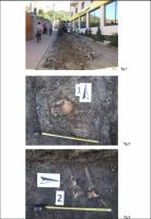 Cronica Cercetărilor Arheologice din România, Campania 2012. Raportul nr. 103, Şimleu Silvaniei<br /><a href='http://foto.cimec.ro/cronica/2012/103-SIMLEU-SILVANIEI-SJ-str-Garofitei/3-transfer-ro-04apr-702574.jpg' target=_blank>Priveşte aceeaşi imagine într-o fereastră nouă</a>