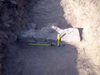 Chronicle of the Archaeological Excavations in Romania, 2013 Campaign. Report no. 3, Adamclisi, Cetate<br /><a href='http://foto.cimec.ro/cronica/2013/003-adamclisi/fig-4.jpg' target=_blank>Display the same picture in a new window</a>