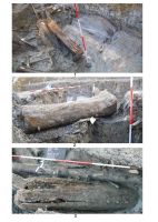 Chronicle of the Archaeological Excavations in Romania, 2013 Campaign. Report no. 8, Figa, Băile Figa<br /><a href='http://foto.cimec.ro/cronica/2013/008-baile-figa/fig-4.jpg' target=_blank>Display the same picture in a new window</a>