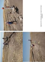 Chronicle of the Archaeological Excavations in Romania, 2013 Campaign. Report no. 45, Jurilovca, Cap Dolojman<br /><a href='http://foto.cimec.ro/cronica/2013/045-jurilovca/fig-1.jpg' target=_blank>Display the same picture in a new window</a>