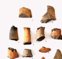 Chronicle of the Archaeological Excavations in Romania, 2013 Campaign. Report no. 49, Oarda, Vărăria.<br /> Sector 02si05.<br /><a href='http://foto.cimec.ro/cronica/2013/049-limba/fig-8-1.jpg' target=_blank>Display the same picture in a new window</a>