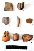 Chronicle of the Archaeological Excavations in Romania, 2013 Campaign. Report no. 49, Oarda, Vărăria.<br /> Sector 02si05.<br /><a href='http://foto.cimec.ro/cronica/2013/049-limba/fig-9.jpg' target=_blank>Display the same picture in a new window</a>