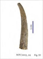 Cronica Cercetărilor Arheologice din România, Campania 2013. Raportul nr. 58, Isaccea, La Pontonul Vechi (Cetate, Eski-kale).<br /> Sectorul 058-5255-industria.<br /><a href='http://foto.cimec.ro/cronica/2013/058-noviodunum/058-5255-industria/nov-fig-51.jpg' target=_blank>Priveşte aceeaşi imagine într-o fereastră nouă</a>. Titlu: 058-5255-industria