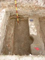 Cronica Cercetărilor Arheologice din România, Campania 2013. Raportul nr. 118