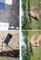 Chronicle of the Archaeological Excavations in Romania, 2013 Campaign. Report no. 130, Coronini, Mănăstire<br /><a href='http://foto.cimec.ro/cronica/2013/130-costesti/4.jpg' target=_blank>Display the same picture in a new window</a>