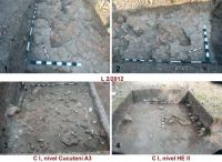 Chronicle of the Archaeological Excavations in Romania, 2013 Campaign. Report no. 130, Coronini, Mănăstire<br /><a href='http://foto.cimec.ro/cronica/2013/130-costesti/8.jpg' target=_blank>Display the same picture in a new window</a>