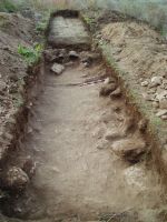 Chronicle of the Archaeological Excavations in Romania, 2014 Campaign. Report no. 2, Adamclisi, Cetate<br /><a href='http://foto.cimec.ro/cronica/2014/002-Adamclisi-SectorB/fig-07-sg14-vedere-generala.JPG' target=_blank>Display the same picture in a new window</a>