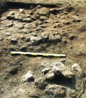 Chronicle of the Archaeological Excavations in Romania, 2014 Campaign. Report no. 6, Albeşti, La Cetate<br /><a href='http://foto.cimec.ro/cronica/2014/006-Albesti-Cetate/fig-2.jpg' target=_blank>Display the same picture in a new window</a>