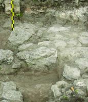 Chronicle of the Archaeological Excavations in Romania, 2014 Campaign. Report no. 6, Albeşti, La Cetate<br /><a href='http://foto.cimec.ro/cronica/2014/006-Albesti-Cetate/fig-3.jpg' target=_blank>Display the same picture in a new window</a>