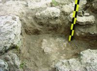 Chronicle of the Archaeological Excavations in Romania, 2014 Campaign. Report no. 6, Albeşti, La Cetate<br /><a href='http://foto.cimec.ro/cronica/2014/006-Albesti-Cetate/fig-4.jpg' target=_blank>Display the same picture in a new window</a>