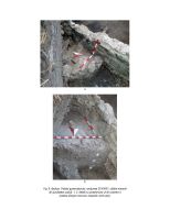 Chronicle of the Archaeological Excavations in Romania, 2014 Campaign. Report no. 7, Alba Iulia, str. Munteniei nr. 15-17, sediul guvernatorului consular al celor trei Dacii<br /><a href='http://foto.cimec.ro/cronica/2014/007-Alba-Iulia-Palatulguvernatorului/ilustratie-fotografica-apulum-2014-page-08.jpg' target=_blank>Display the same picture in a new window</a>