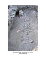 Chronicle of the Archaeological Excavations in Romania, 2014 Campaign. Report no. 7, Alba Iulia, Sediul guvernatorului consular (Mithraeum III).<br /> Sector Raport-geo.<br /><a href='http://foto.cimec.ro/cronica/2014/007-Alba-Iulia-Palatulguvernatorului/ilustratie-fotografica-apulum-2014-page-17.jpg' target=_blank>Display the same picture in a new window</a>