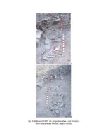 Chronicle of the Archaeological Excavations in Romania, 2014 Campaign. Report no. 7, Alba Iulia, Sediul guvernatorului consular (Mithraeum III).<br /> Sector Raport-geo.<br /><a href='http://foto.cimec.ro/cronica/2014/007-Alba-Iulia-Palatulguvernatorului/ilustratie-fotografica-apulum-2014-page-18.jpg' target=_blank>Display the same picture in a new window</a>
