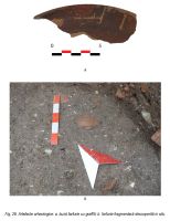 Chronicle of the Archaeological Excavations in Romania, 2014 Campaign. Report no. 7, Alba Iulia, Sediul guvernatorului consular (Mithraeum III).<br /> Sector Raport-geo.<br /><a href='http://foto.cimec.ro/cronica/2014/007-Alba-Iulia-Palatulguvernatorului/ilustratie-fotografica-apulum-2014-page-28.jpg' target=_blank>Display the same picture in a new window</a>