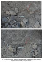 Chronicle of the Archaeological Excavations in Romania, 2014 Campaign. Report no. 16, Bucşani, La Pod<br /><a href='http://foto.cimec.ro/cronica/2014/016-Bucsani/ilustratie-page-1.jpg' target=_blank>Display the same picture in a new window</a>