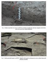 Chronicle of the Archaeological Excavations in Romania, 2014 Campaign. Report no. 16, Bucşani, La Pădure (Microzona Bucşani)<br /><a href='http://foto.cimec.ro/cronica/2014/016-Bucsani/ilustratie-page-2.jpg' target=_blank>Display the same picture in a new window</a>