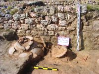 Chronicle of the Archaeological Excavations in Romania, 2014 Campaign. Report no. 20, Capidava, Cetate.<br /> Sector sector-X.<br /><a href='http://foto.cimec.ro/cronica/2014/020-Capidava-sector-est/fig-2-capidava-est-2014-cca.JPG' target=_blank>Display the same picture in a new window</a>