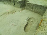 Chronicle of the Archaeological Excavations in Romania, 2014 Campaign. Report no. 21, Capidava, Sectorul X extramuros - terasa B.<br /> Sector sector-X.<br /><a href='http://foto.cimec.ro/cronica/2014/021-Capidava-sector-X/fig-4-capidava-sector-x-2014-cca.JPG' target=_blank>Display the same picture in a new window</a>
