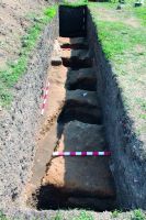 Chronicle of the Archaeological Excavations in Romania, 2014 Campaign. Report no. 38, Frumuşeni, Mănăstirea Bizere<br /><a href='http://foto.cimec.ro/cronica/2014/038-Frumuseni/fig-4-structura-palisada-gropi-morminte-s119.JPG' target=_blank>Display the same picture in a new window</a>
