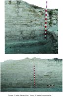Chronicle of the Archaeological Excavations in Romania, 2014 Campaign. Report no. 43, Slava Rusă, Cetatea fetei<br /><a href='http://foto.cimec.ro/cronica/2014/043-Slava-Rusa-Ibida/ibida-2014-plansa-page-2.jpg' target=_blank>Display the same picture in a new window</a>