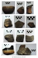 Chronicle of the Archaeological Excavations in Romania, 2014 Campaign. Report no. 47, Oarda, Vărăria.<br /> Sector 02si05.<br /><a href='http://foto.cimec.ro/cronica/2014/047-Limba-Oarda-de-Jos/ilustratie-page-3.jpg' target=_blank>Display the same picture in a new window</a>