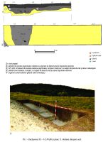 Cronica Cercetărilor Arheologice din România, Campania 2014. Raportul nr. 60, Pietroasa Mică, Gruiu Dării<br /><a href='http://foto.cimec.ro/cronica/2014/060-Pietroasa-Mica/gd-2014-planse-cronica-page-1.jpg' target=_blank>Priveşte aceeaşi imagine într-o fereastră nouă</a>