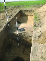 Chronicle of the Archaeological Excavations in Romania, 2014 Campaign. Report no. 89, Vlădeni, Popina Blagodeasca.<br /> Sector Figuri-raport.<br /><a href='http://foto.cimec.ro/cronica/2014/089-Vladeni-Popina-Blagodeasca/fig-5.JPG' target=_blank>Display the same picture in a new window</a>