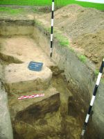 Chronicle of the Archaeological Excavations in Romania, 2014 Campaign. Report no. 89, Vlădeni, Popina Blagodeasca.<br /> Sector Figuri-raport.<br /><a href='http://foto.cimec.ro/cronica/2014/089-Vladeni-Popina-Blagodeasca/fig-6.JPG' target=_blank>Display the same picture in a new window</a>
