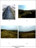 Chronicle of the Archaeological Excavations in Romania, 2014 Campaign. Report no. 100, Stejeriş, Gâlmee<br /><a href='http://foto.cimec.ro/cronica/2014/100-Autostrada-Sebes-Turda/km59-050-59-250-sit2-figura-2.jpg' target=_blank>Display the same picture in a new window</a>