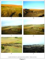 Chronicle of the Archaeological Excavations in Romania, 2014 Campaign. Report no. 100, Stejeriş, Gâlmee<br /><a href='http://foto.cimec.ro/cronica/2014/100-Autostrada-Sebes-Turda/km60-550-60-700-sit3-03.jpg' target=_blank>Display the same picture in a new window</a>