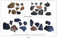 Chronicle of the Archaeological Excavations in Romania, 2014 Campaign. Report no. 100, Stejeriş, Stejeriş II (Sit 6)<br /><a href='http://foto.cimec.ro/cronica/2014/100-Autostrada-Sebes-Turda/km65-600-65-900-sit6-3.jpg' target=_blank>Display the same picture in a new window</a>