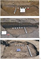 Chronicle of the Archaeological Excavations in Romania, 2014 Campaign. Report no. 110, Bălata, Teleghi (Pe Teleci)<br /><a href='http://foto.cimec.ro/cronica/2014/110-Balata/1189-raport-cca-balata-2014-23-feb-2015-7.jpg' target=_blank>Display the same picture in a new window</a>