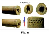 Cronica Cercetărilor Arheologice din România, Campania 2014. Raportul nr. 124