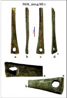 Chronicle of the Archaeological Excavations in Romania, 2014 Campaign. Report no. 128, Negrileşti, Şcoala Generală (La Punte, Pin, Curtea Şcolii).<br /> Sector 2-Industria-materiilor-dure-animale.<br /><a href='http://foto.cimec.ro/cronica/2014/128-Negrilesti/ngs-imda-fig-14.jpg' target=_blank>Display the same picture in a new window</a>