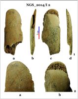 Chronicle of the Archaeological Excavations in Romania, 2014 Campaign. Report no. 128, Negrileşti, Şcoala Generală (La Punte, Pin, Curtea Şcolii).<br /> Sector 2-Industria-materiilor-dure-animale.<br /><a href='http://foto.cimec.ro/cronica/2014/128-Negrilesti/ngs-imda-fig-4.jpg' target=_blank>Display the same picture in a new window</a>