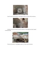 Chronicle of the Archaeological Excavations in Romania, 2014 Campaign. Report no. 139, Răchitoasa<br /><a href='http://foto.cimec.ro/cronica/2014/139-Rachitoasa/fig-10.jpg' target=_blank>Display the same picture in a new window</a>