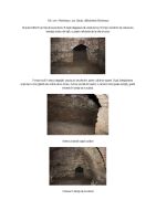 Chronicle of the Archaeological Excavations in Romania, 2014 Campaign. Report no. 139, Răchitoasa<br /><a href='http://foto.cimec.ro/cronica/2014/139-Rachitoasa/fig-8.jpg' target=_blank>Display the same picture in a new window</a>