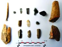 Chronicle of the Archaeological Excavations in Romania, 2015 Campaign. Report no. 26, Oarda, Bordane.<br /> Sector 02si04.<br /><a href='http://foto.cimec.ro/cronica/2015/026-Limba-Oarda-de-Jos/fig-5.JPG' target=_blank>Display the same picture in a new window</a>