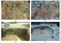 Chronicle of the Archaeological Excavations in Romania, 2015 Campaign. Report no. 57, Unip, Dealu Cetăţuica<br /><a href='http://foto.cimec.ro/cronica/2015/057-Unip/fig-3.jpg' target=_blank>Display the same picture in a new window</a>