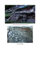 Chronicle of the Archaeological Excavations in Romania, 2015 Campaign. Report no. 62, Voineşti, Măilătoaia (Malul lui Cocoş).<br /> Sector Ilustratii.<br /><a href='http://foto.cimec.ro/cronica/2015/062-Voinesti-Mailatoaia/voinesti-2015-ilustratie-page-1.jpg' target=_blank>Display the same picture in a new window</a>