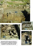 Chronicle of the Archaeological Excavations in Romania, 2015 Campaign. Report no. 78, Capidava, Cetate<br /><a href='http://foto.cimec.ro/cronica/2015/078-Capidava/plansa-4.jpg' target=_blank>Display the same picture in a new window</a>