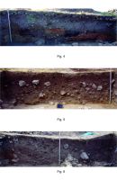 Chronicle of the Archaeological Excavations in Romania, 2015 Campaign. Report no. 80, Capidava, Turnul Belvedere<br /><a href='http://foto.cimec.ro/cronica/2015/080-Capidava/planse-belvedere-cronica-2.jpg' target=_blank>Display the same picture in a new window</a>