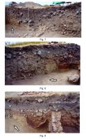 Chronicle of the Archaeological Excavations in Romania, 2015 Campaign. Report no. 80, Capidava, Cetate.<br /> Sector sector-X.<br /><a href='http://foto.cimec.ro/cronica/2015/080-Capidava/planse-belvedere-cronica-3.jpg' target=_blank>Display the same picture in a new window</a>