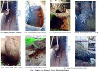 Chronicle of the Archaeological Excavations in Romania, 2015 Campaign. Report no. 89, Coşula<br /><a href='http://foto.cimec.ro/cronica/2015/089-Cosula/fig-1.jpg' target=_blank>Display the same picture in a new window</a>
