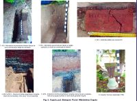 Chronicle of the Archaeological Excavations in Romania, 2015 Campaign. Report no. 89, Coşula<br /><a href='http://foto.cimec.ro/cronica/2015/089-Cosula/fig-2.jpg' target=_blank>Display the same picture in a new window</a>