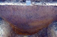 Cronica Cercetărilor Arheologice din România, Campania 2015. Raportul nr. 101, Remetea Mare, Olympian Park Timişoara Hala 9 DN6/E70 (La Hodaja)<br /><a href='http://foto.cimec.ro/cronica/2015/101-Remetea/fig-4.JPG' target=_blank>Priveşte aceeaşi imagine într-o fereastră nouă</a>