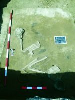 Chronicle of the Archaeological Excavations in Romania, 2015 Campaign. Report no. 102, Roman, Episcopie<br /><a href='http://foto.cimec.ro/cronica/2015/102-Roman/pl-4-2.jpg' target=_blank>Display the same picture in a new window</a>