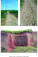 Chronicle of the Archaeological Excavations in Romania, 2015 Campaign. Report no. 125, Turda, Promotoriu<br /><a href='http://foto.cimec.ro/cronica/2015/125-Mihai-Bravu/plansa-04.jpg' target=_blank>Display the same picture in a new window</a>