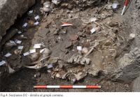 Chronicle of the Archaeological Excavations in Romania, 2016 Campaign. Report no. 34, Igriş, Igriş - mănăstirea Egres<br /><a href='http://foto.cimec.ro/cronica/2016/034-Igris-TM-Punct-Igris-Manastirea-Egres/planse-igris-cronica-fig-4.jpg' target=_blank>Display the same picture in a new window</a>