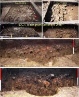 Chronicle of the Archaeological Excavations in Romania, 2016 Campaign. Report no. 64, Ripiceni, La Holm (La Telescu)<br /><a href='http://foto.cimec.ro/cronica/2016/064-Ripiceni-BT-Punct-Holm-Telescu/fig-7-ripiceni-017-s-l-7.jpg' target=_blank>Display the same picture in a new window</a>